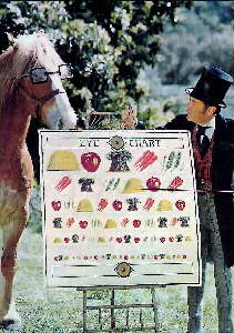 Rex Harrison and horse in movie Dr. Doolittle