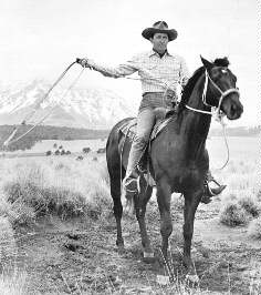 Parker and Diamond Jet of Smoky