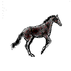 animated image horse