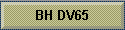 BH DV65