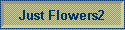 Just Flowers2