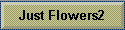 Just Flowers2