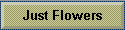 Just Flowers