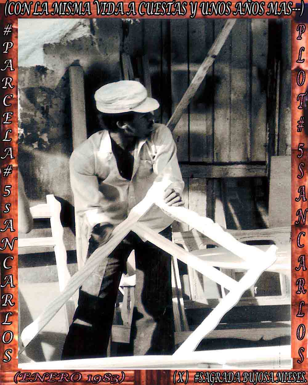 .EXTRACTS GRAPHICS POEM