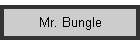 Mr. Bungle