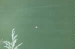 Hale Bopp Comet
