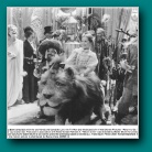 [Click to enlarge image]