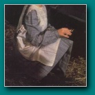 [Click to enlarge image]