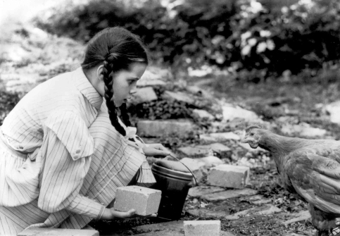 press14a.JPG  (118.8 Kb)