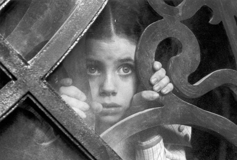 press15a.JPG  (110.5 Kb)