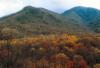 Smoky Mountain Fall Color