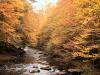 Fall on Little Pigeon River