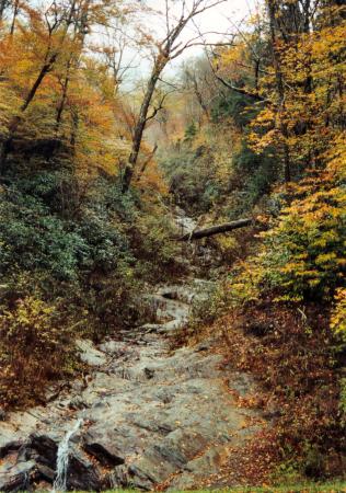 Smoky Mountain Fall Creek