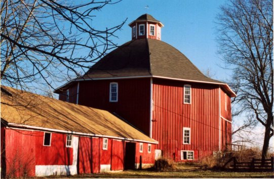 Octocinal Barn by Dave