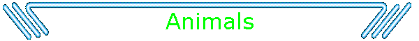 Animals