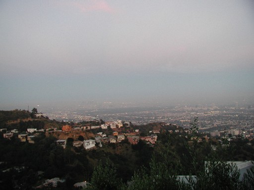 FView1.jpg (40335 bytes)