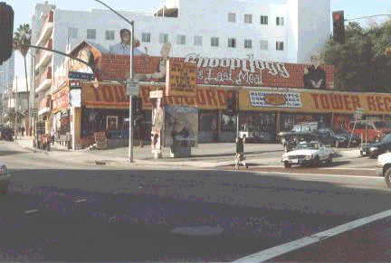 TowerRecords1.jpg (147274 bytes)