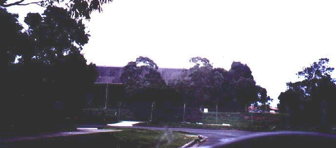 Warehousepic3.jpg (38628 bytes)