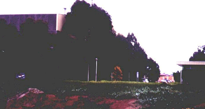 Warehousepic5.jpg (38046 bytes)