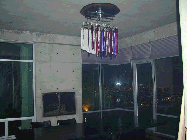 diningrm.jpg (66395 bytes)