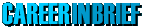 Career in Brief