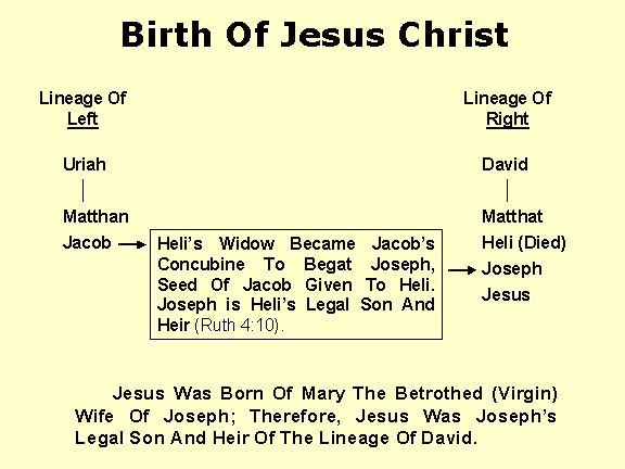 Birth Of Jesus ... Jacob gave seed to Heli via Heli's widow. Josheph is the legal son of Heli.