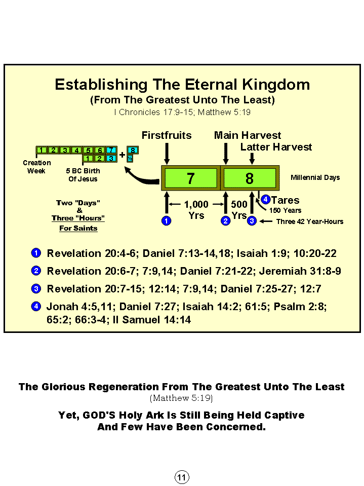 Synopsis Of The Future, Tomorrow's World Kingdom