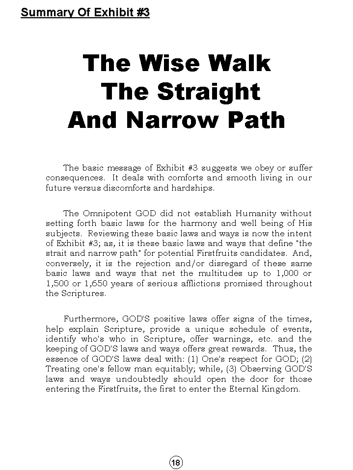 Synopsis Of The Future, Tomorrow's World Kingdom