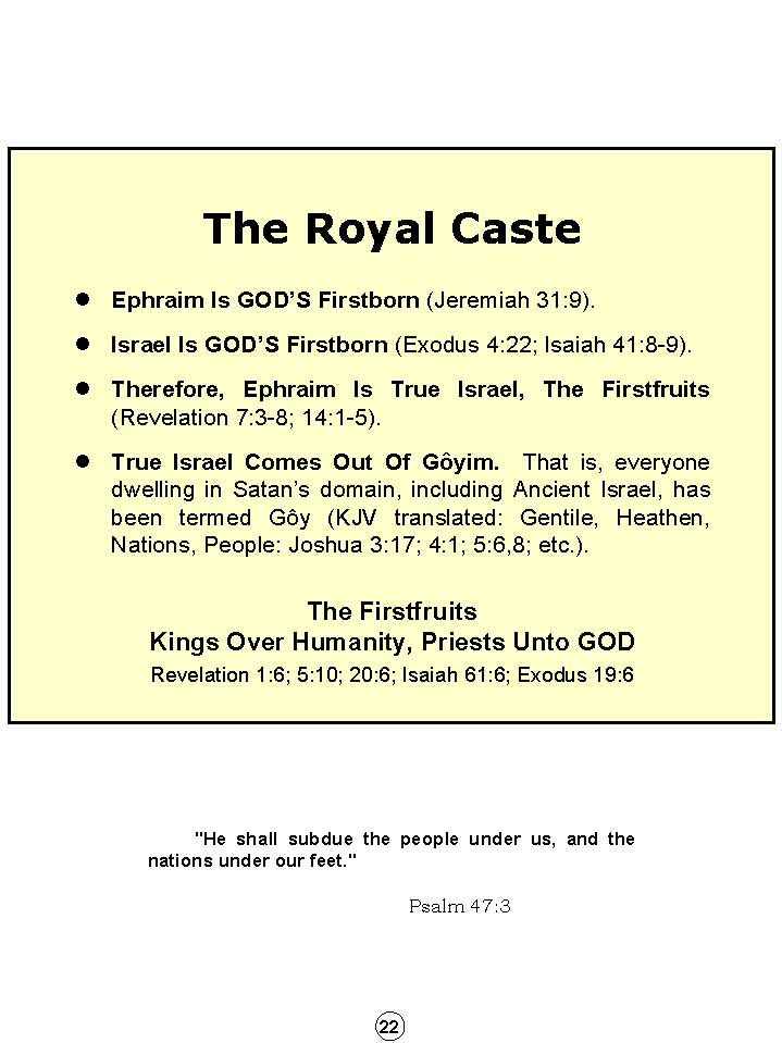 Synopsis Of The Future, Tomorrow's World Kingdom