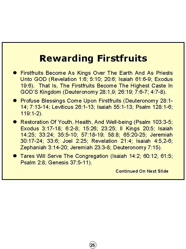 Synopsis Of The Future, Tomorrow's World Kingdom