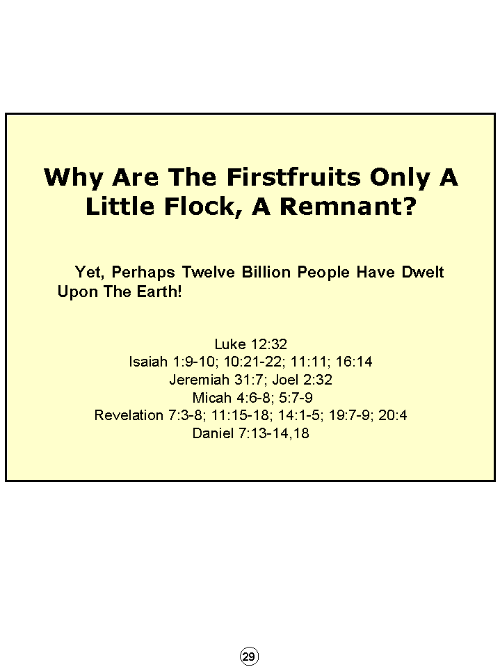 Synopsis Of The Future, Tomorrow's World Kingdom