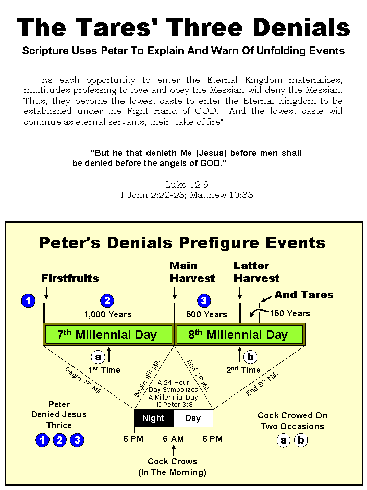 Synopsis Of The Future, Tomorrow's World Kingdom