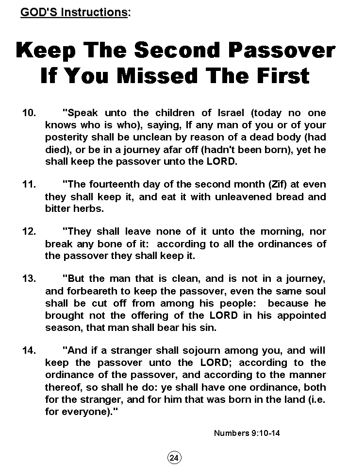 Humanity's Great Sojourn Through History And Prophecy