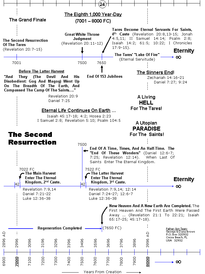 The Chronology Of Humanity
