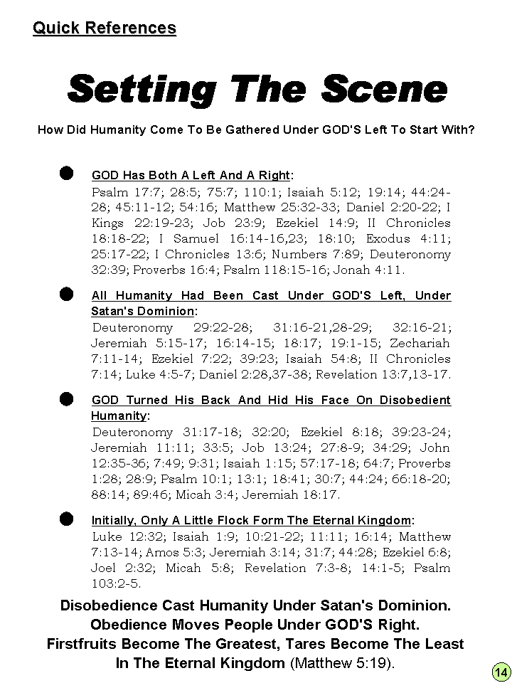 The Panorama Unveiled