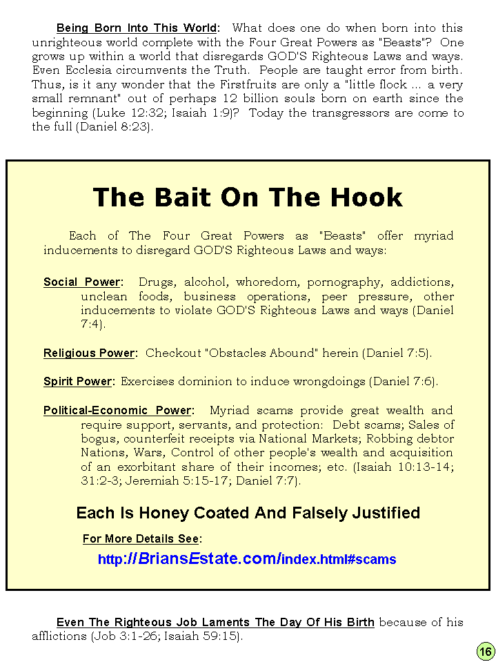 The Panorama Unveiled