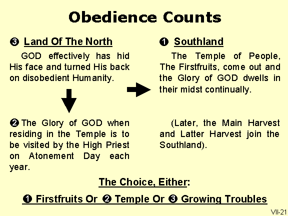 Thou shalt therefore obey the voice of the LORD thy God, and do his commandments and his statutes, which I command thee this day (Deuteronomy 27:10).