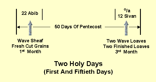 Pentecost First And Fiftieth Days Are Holy