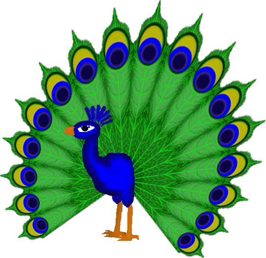 LARGE PEACOCK