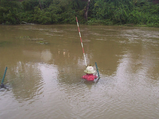 Bamboo Rd. and US 421