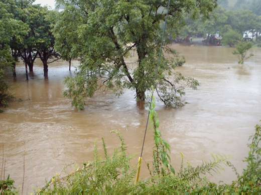 Bamboo Rd. and US 421