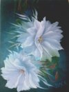 Night Blooming Cereus