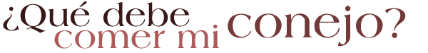 �Qu&eacute; debe comer mi conejo?