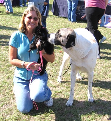 Daisy saying Hi to a Cocker Spaniel puppy
