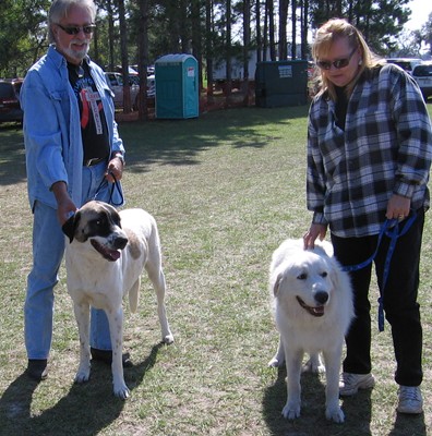 Daisy meeting Delilah