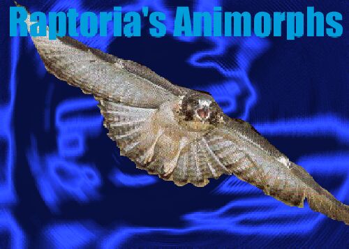 White-Tailed Hawk: Click to Hear