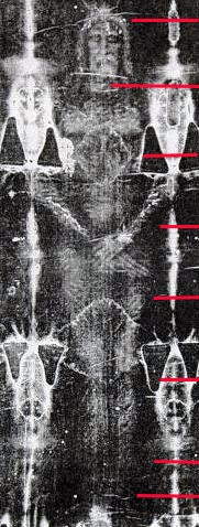 A Noodle of Biblical Proportions