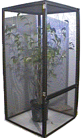 Chameleons cage 361818