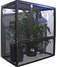chameleon cage