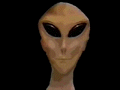 Extraterrestrial's Alien Guy